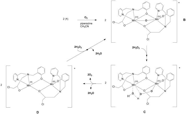 https://cdn.ncbi.nlm.nih.gov/pmc/blobs/8632/6231112/e5946d23315b/fchem-06-00491-g0011.jpg
