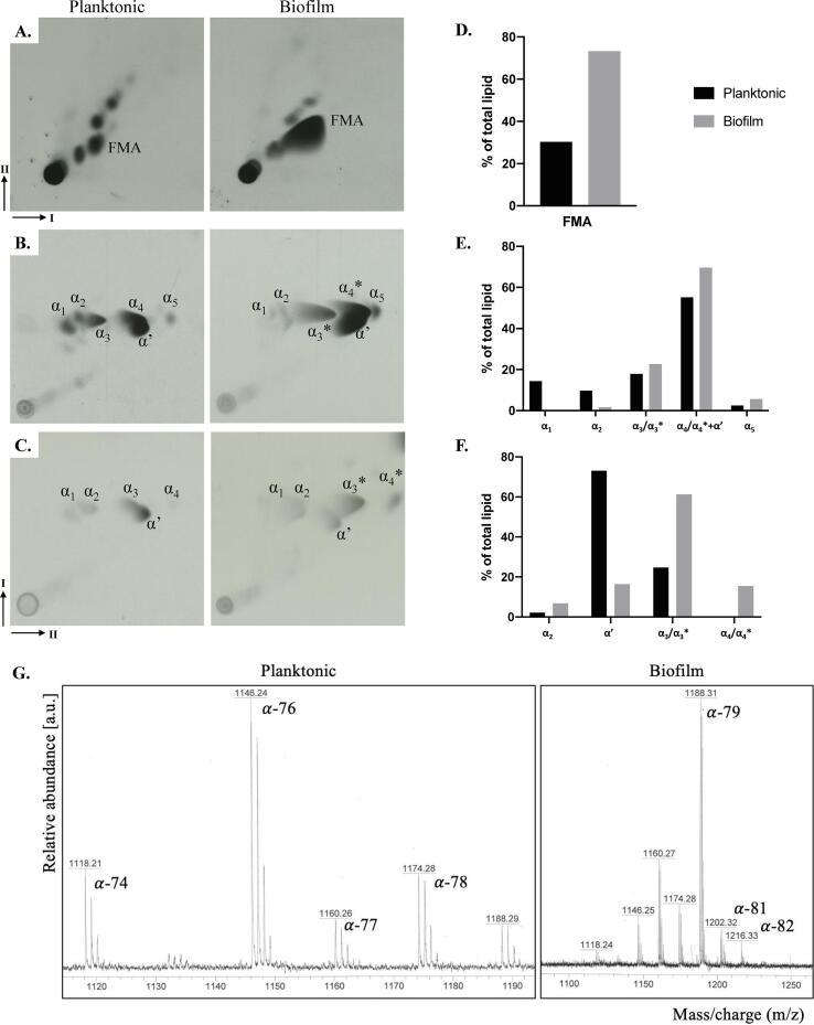 https://cdn.ncbi.nlm.nih.gov/pmc/blobs/8632/8066798/f4985f395dc4/gr4.jpg