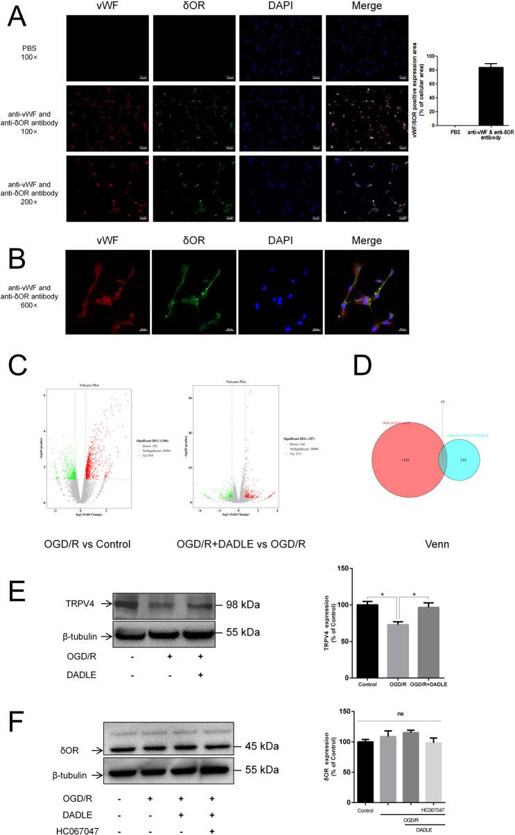 https://cdn.ncbi.nlm.nih.gov/pmc/blobs/8635/11877439/03024f628ce0/svn-10-1-g001.jpg