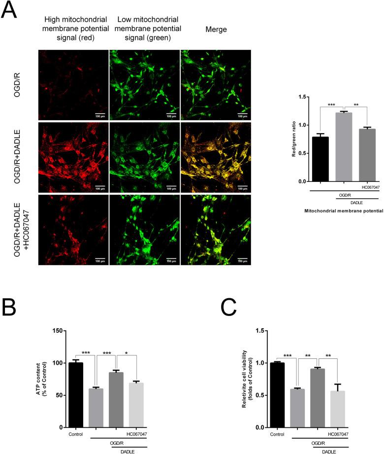 https://cdn.ncbi.nlm.nih.gov/pmc/blobs/8635/11877439/df720812baa8/svn-10-1-g005.jpg