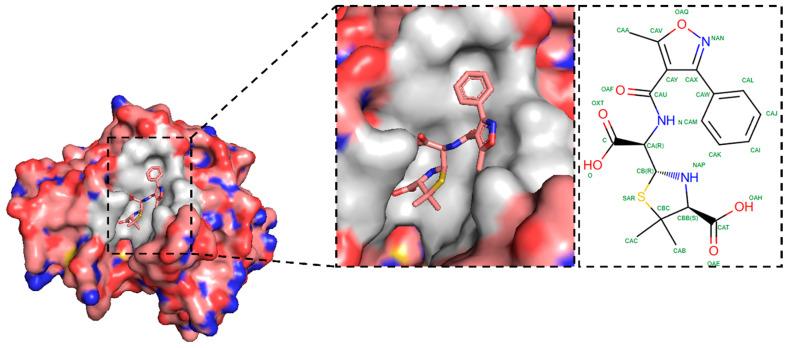 https://cdn.ncbi.nlm.nih.gov/pmc/blobs/8638/11435111/f5125e3fbd29/pharmaceuticals-17-01183-g001.jpg