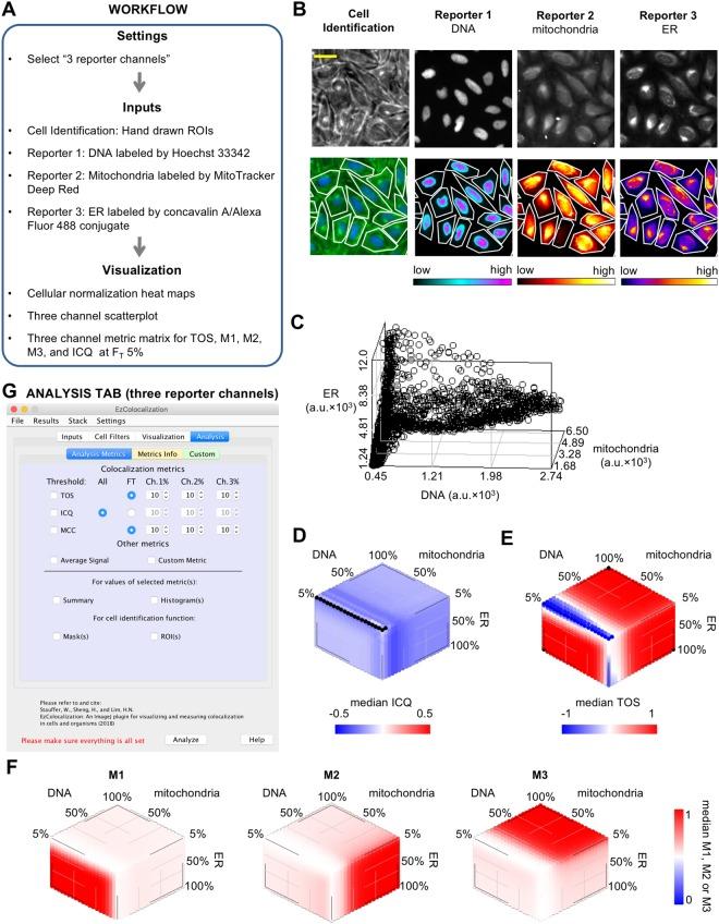https://cdn.ncbi.nlm.nih.gov/pmc/blobs/8638/6202351/369c72065fde/41598_2018_33592_Fig8_HTML.jpg