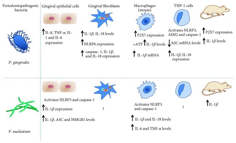 https://cdn.ncbi.nlm.nih.gov/pmc/blobs/8638/6612971/cd9795cd2cf7/MI2019-7241312.005.jpg