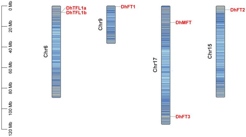 https://cdn.ncbi.nlm.nih.gov/pmc/blobs/8638/8299281/40e2f21f3626/fgene-12-687689-g002.jpg