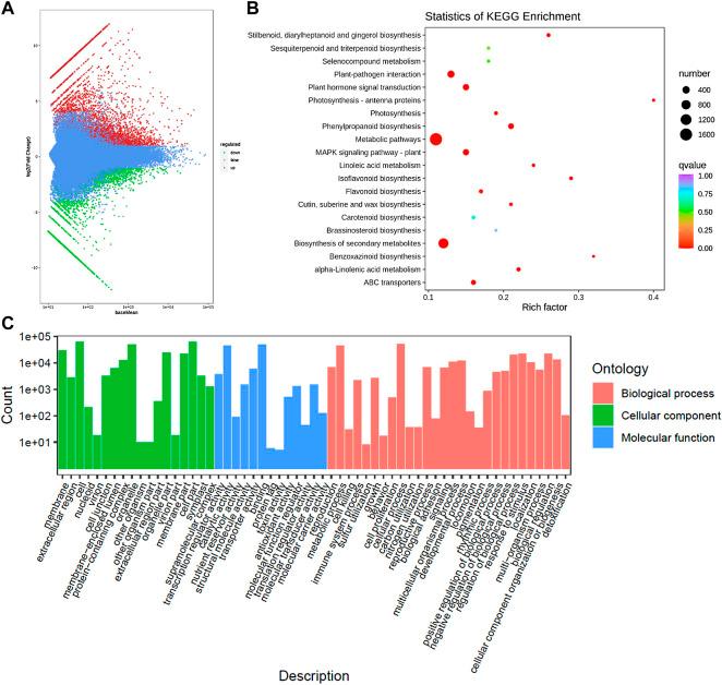 https://cdn.ncbi.nlm.nih.gov/pmc/blobs/8638/9305860/7ccc8fe4d190/fgene-13-867064-g003.jpg