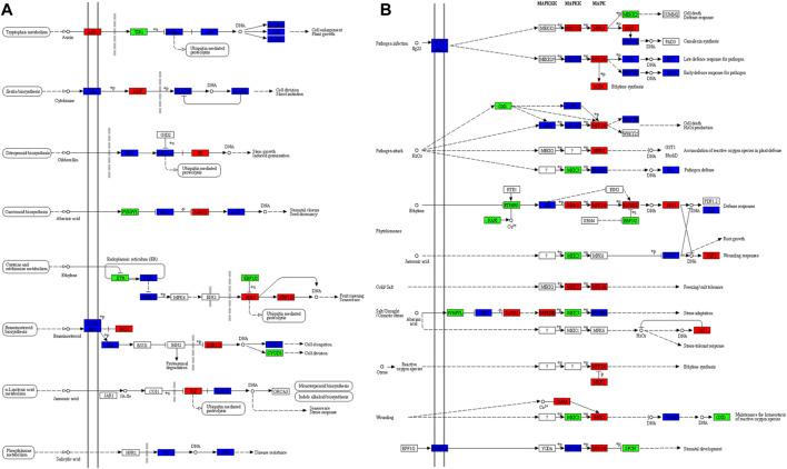 https://cdn.ncbi.nlm.nih.gov/pmc/blobs/8638/9305860/88514d24615d/fgene-13-867064-g005.jpg