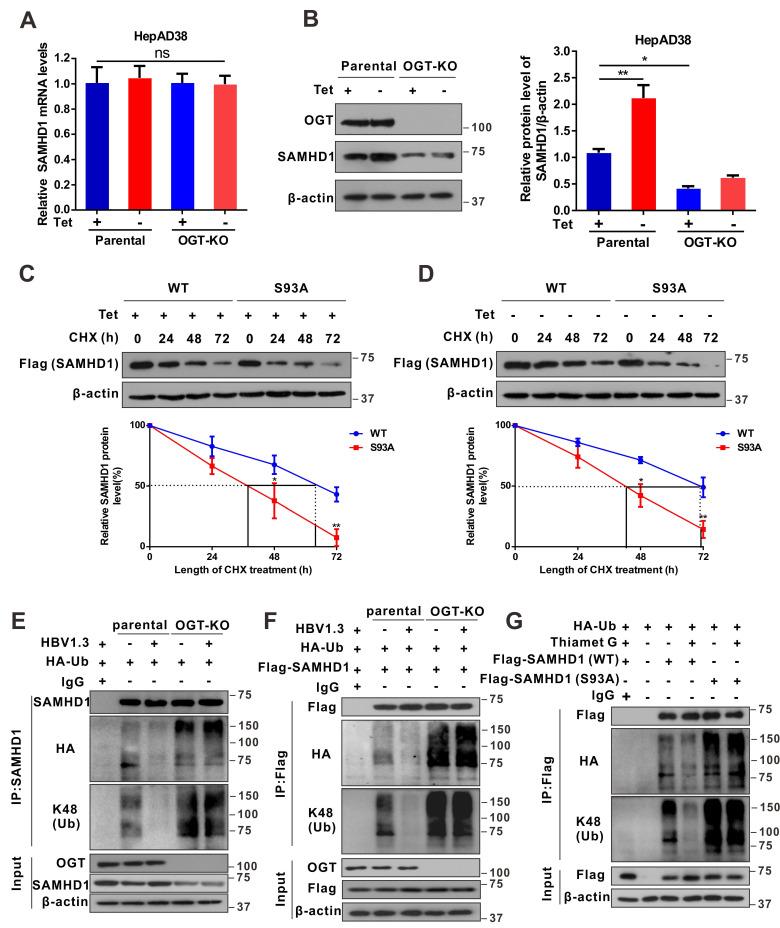 https://cdn.ncbi.nlm.nih.gov/pmc/blobs/863b/7738853/a862e5bb9fdc/thnov11p0805g005.jpg