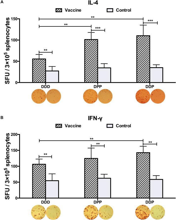 https://cdn.ncbi.nlm.nih.gov/pmc/blobs/863c/6524413/619541f70264/fmicb-10-01113-g003.jpg