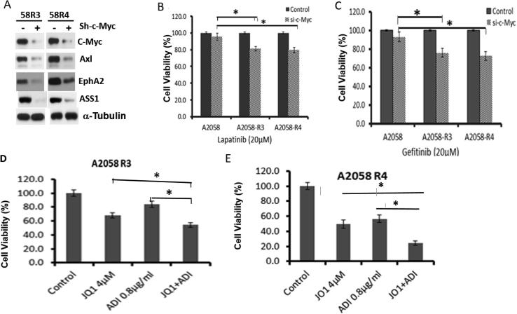 https://cdn.ncbi.nlm.nih.gov/pmc/blobs/863f/6938815/d0ec60e8f644/gr6.jpg