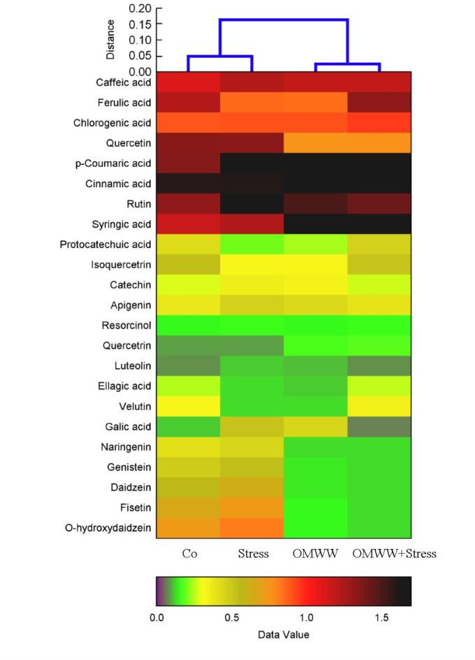 https://cdn.ncbi.nlm.nih.gov/pmc/blobs/8640/12015521/f24baf61d1ae/41598_2025_98547_Fig5_HTML.jpg