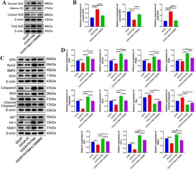 https://cdn.ncbi.nlm.nih.gov/pmc/blobs/8641/10752907/88888b904f84/41598_2023_50108_Fig5_HTML.jpg