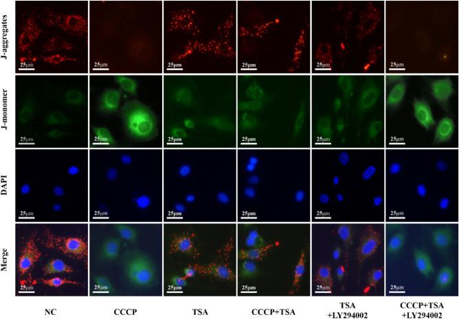 https://cdn.ncbi.nlm.nih.gov/pmc/blobs/8641/10752907/95644ffe5d8a/41598_2023_50108_Fig2_HTML.jpg