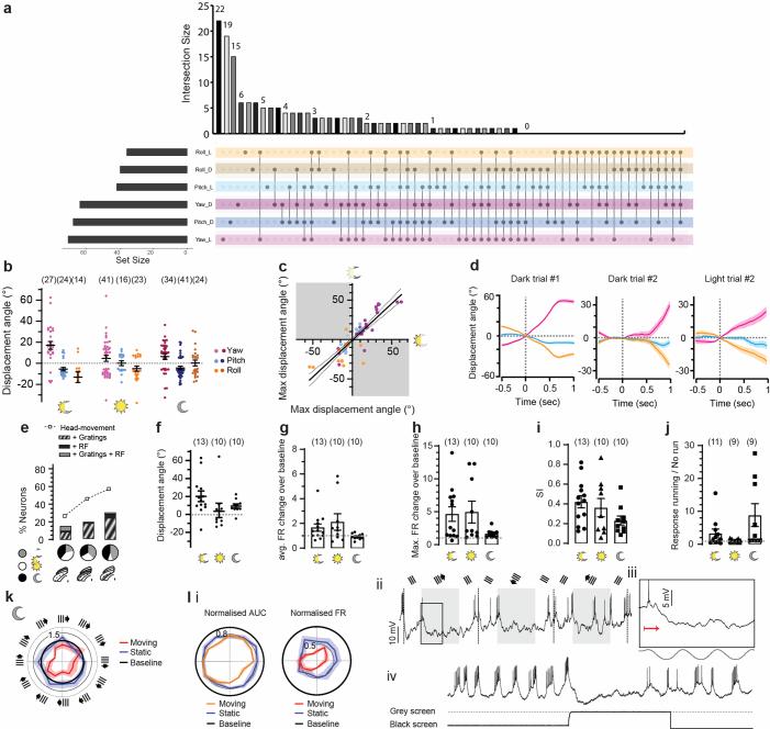 https://cdn.ncbi.nlm.nih.gov/pmc/blobs/8641/11236723/41475d679721/41586_2024_7619_Fig11_ESM.jpg
