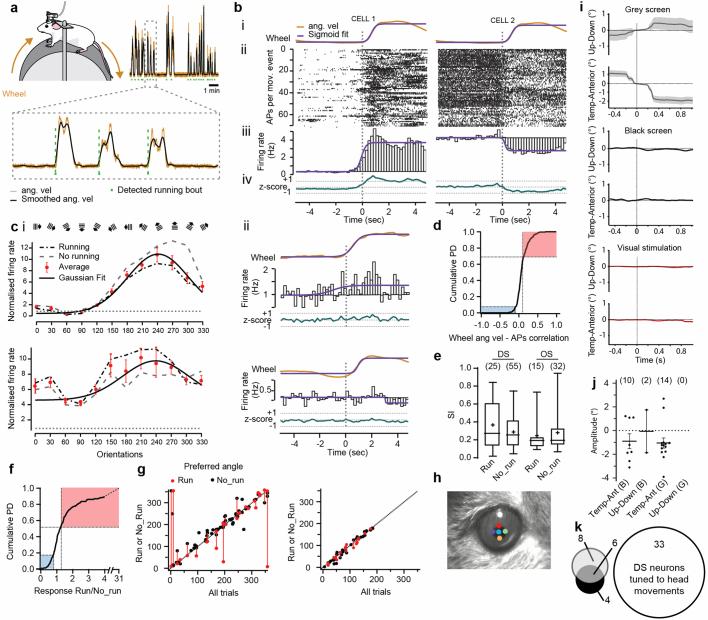 https://cdn.ncbi.nlm.nih.gov/pmc/blobs/8641/11236723/42f1756197cd/41586_2024_7619_Fig8_ESM.jpg