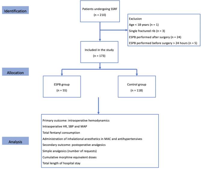 https://cdn.ncbi.nlm.nih.gov/pmc/blobs/8641/11577856/15576cfad4a7/13017_2024_567_Fig1_HTML.jpg
