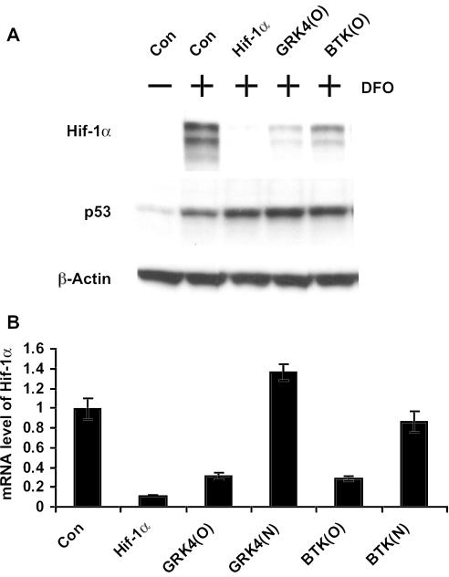 https://cdn.ncbi.nlm.nih.gov/pmc/blobs/8641/1184219/20d776caa03d/gki762f2.jpg