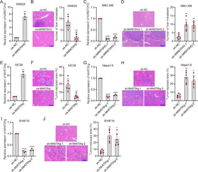 https://cdn.ncbi.nlm.nih.gov/pmc/blobs/8642/12037464/0f9f23f64a73/18_2025_5700_Fig1_HTML.jpg