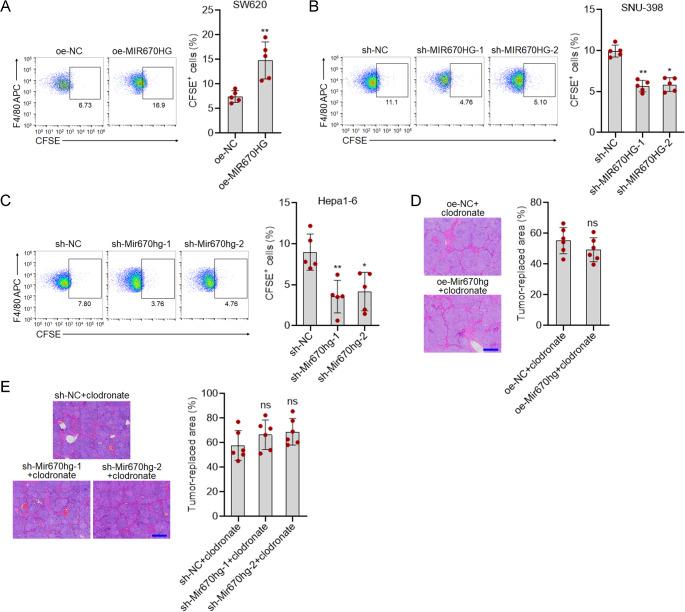 https://cdn.ncbi.nlm.nih.gov/pmc/blobs/8642/12037464/110f50be4646/18_2025_5700_Fig3_HTML.jpg
