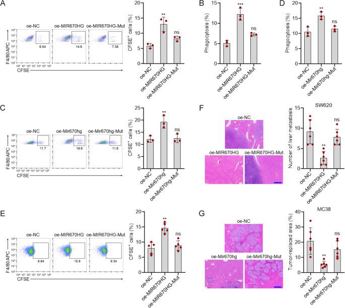 https://cdn.ncbi.nlm.nih.gov/pmc/blobs/8642/12037464/6668bbe49f3b/18_2025_5700_Fig4_HTML.jpg