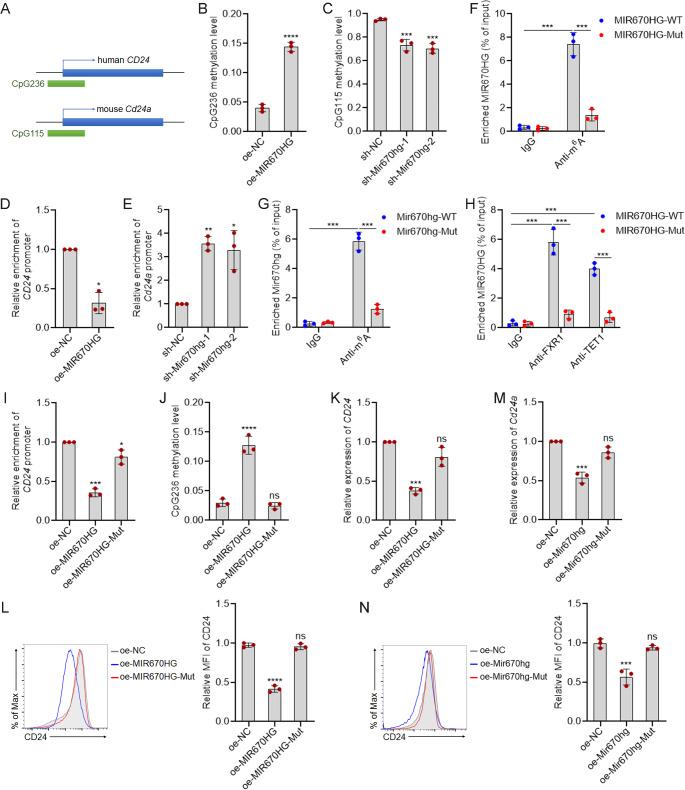 https://cdn.ncbi.nlm.nih.gov/pmc/blobs/8642/12037464/6a45c7649aa3/18_2025_5700_Fig8_HTML.jpg