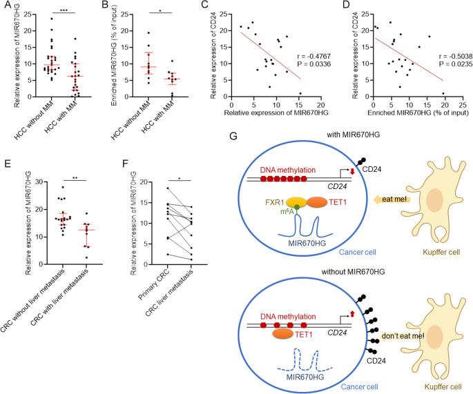 https://cdn.ncbi.nlm.nih.gov/pmc/blobs/8642/12037464/ad53902ca132/18_2025_5700_Fig5_HTML.jpg