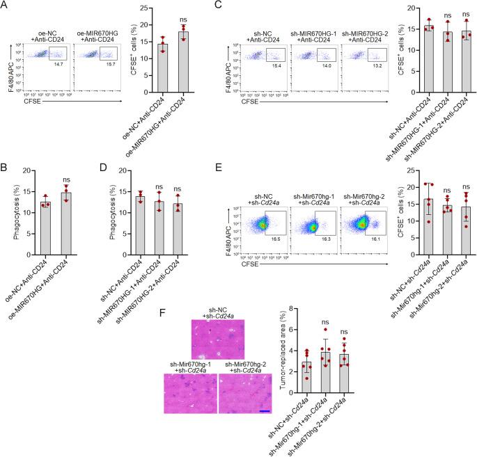 https://cdn.ncbi.nlm.nih.gov/pmc/blobs/8642/12037464/af43d07a6516/18_2025_5700_Fig7_HTML.jpg