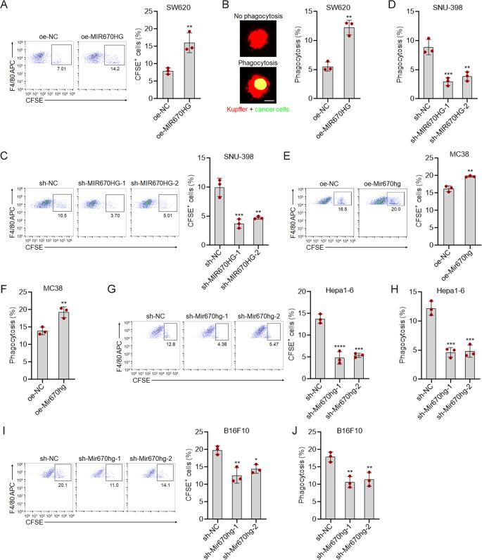 https://cdn.ncbi.nlm.nih.gov/pmc/blobs/8642/12037464/b7cd7becc724/18_2025_5700_Fig2_HTML.jpg