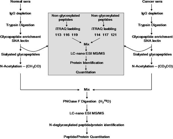 https://cdn.ncbi.nlm.nih.gov/pmc/blobs/8644/3488482/6b6e0f53992d/1559-0275-9-10-1.jpg