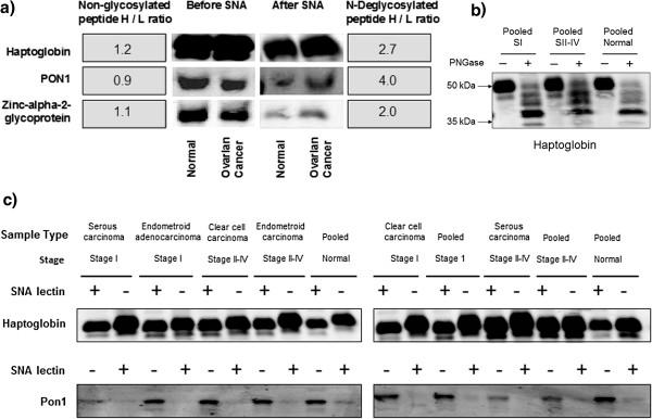 https://cdn.ncbi.nlm.nih.gov/pmc/blobs/8644/3488482/7ab1886429c7/1559-0275-9-10-6.jpg
