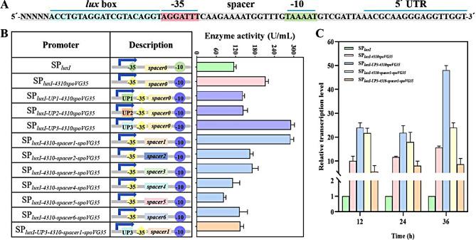 https://cdn.ncbi.nlm.nih.gov/pmc/blobs/8645/12008979/6536db282dc1/12934_2025_2719_Fig4_HTML.jpg