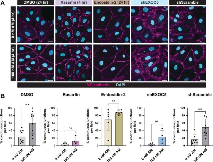 https://cdn.ncbi.nlm.nih.gov/pmc/blobs/8646/11374903/2e0508628ea3/41467_2024_51918_Fig6_HTML.jpg