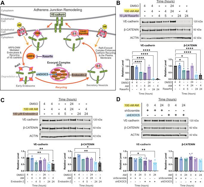 https://cdn.ncbi.nlm.nih.gov/pmc/blobs/8646/11374903/4ef3fbb1aa88/41467_2024_51918_Fig5_HTML.jpg