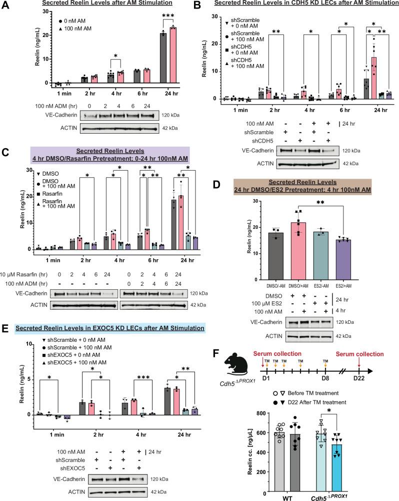 https://cdn.ncbi.nlm.nih.gov/pmc/blobs/8646/11374903/7f8078b136ba/41467_2024_51918_Fig7_HTML.jpg