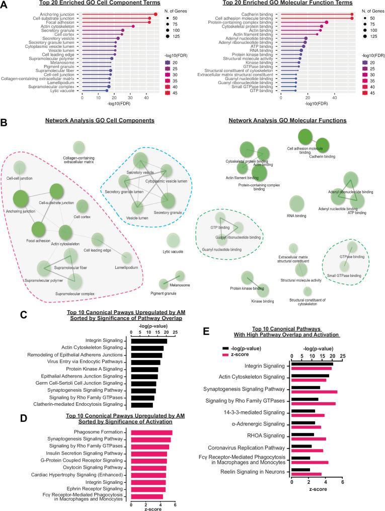 https://cdn.ncbi.nlm.nih.gov/pmc/blobs/8646/11374903/a36973e9a154/41467_2024_51918_Fig2_HTML.jpg