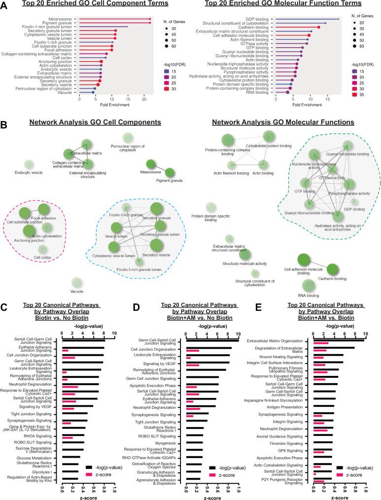 https://cdn.ncbi.nlm.nih.gov/pmc/blobs/8646/11374903/b2ae3d08a2e0/41467_2024_51918_Fig4_HTML.jpg