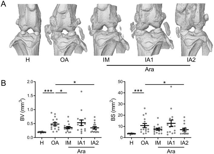 https://cdn.ncbi.nlm.nih.gov/pmc/blobs/864d/10183038/cd930db0a433/41598_2023_34206_Fig4_HTML.jpg