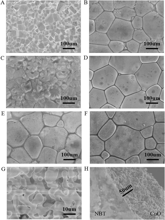 https://cdn.ncbi.nlm.nih.gov/pmc/blobs/864f/5504058/2fe95e93af27/41598_2017_5169_Fig3_HTML.jpg