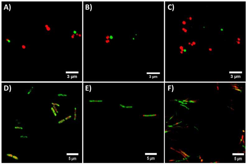 https://cdn.ncbi.nlm.nih.gov/pmc/blobs/8653/6100501/18ab66b3bce8/molecules-23-01399-g003.jpg