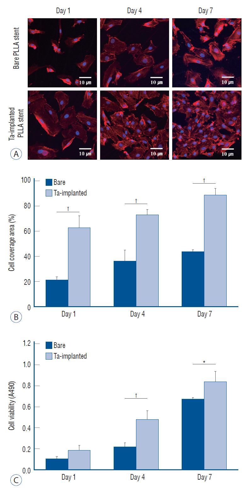 https://cdn.ncbi.nlm.nih.gov/pmc/blobs/8654/8590919/28b07d47fd3f/jkns-2021-0009f8.jpg