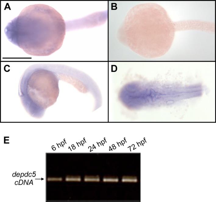 https://cdn.ncbi.nlm.nih.gov/pmc/blobs/8655/5945968/05fa7a93f459/ACN3-5-510-g001.jpg