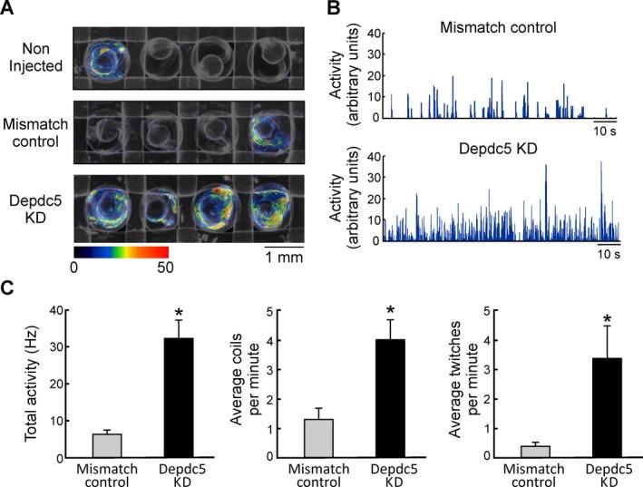 https://cdn.ncbi.nlm.nih.gov/pmc/blobs/8655/5945968/57681108f5c7/ACN3-5-510-g002.jpg
