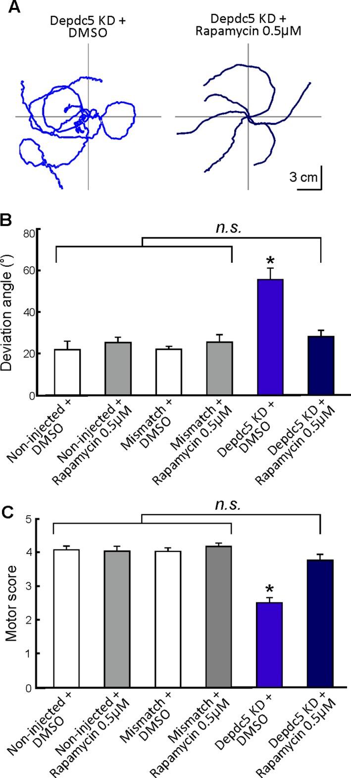 https://cdn.ncbi.nlm.nih.gov/pmc/blobs/8655/5945968/9652c99a1497/ACN3-5-510-g006.jpg