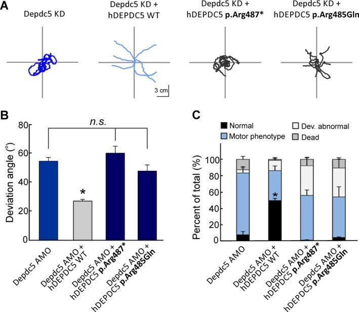 https://cdn.ncbi.nlm.nih.gov/pmc/blobs/8655/5945968/a9dda0717be3/ACN3-5-510-g005.jpg