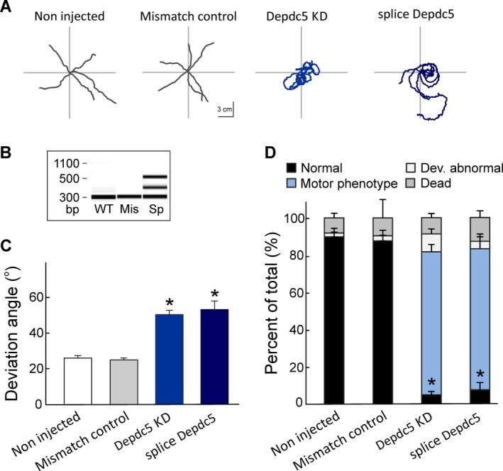 https://cdn.ncbi.nlm.nih.gov/pmc/blobs/8655/5945968/c1819298436d/ACN3-5-510-g003.jpg