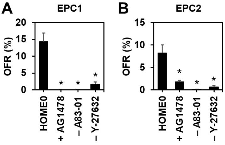 https://cdn.ncbi.nlm.nih.gov/pmc/blobs/8656/11430971/98c0f8ed9b75/biomolecules-14-01126-g003.jpg