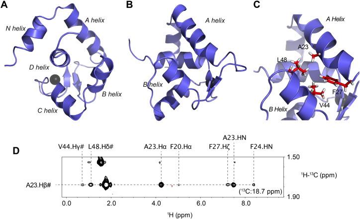 https://cdn.ncbi.nlm.nih.gov/pmc/blobs/8656/4640586/d82a43a24178/gr2.jpg