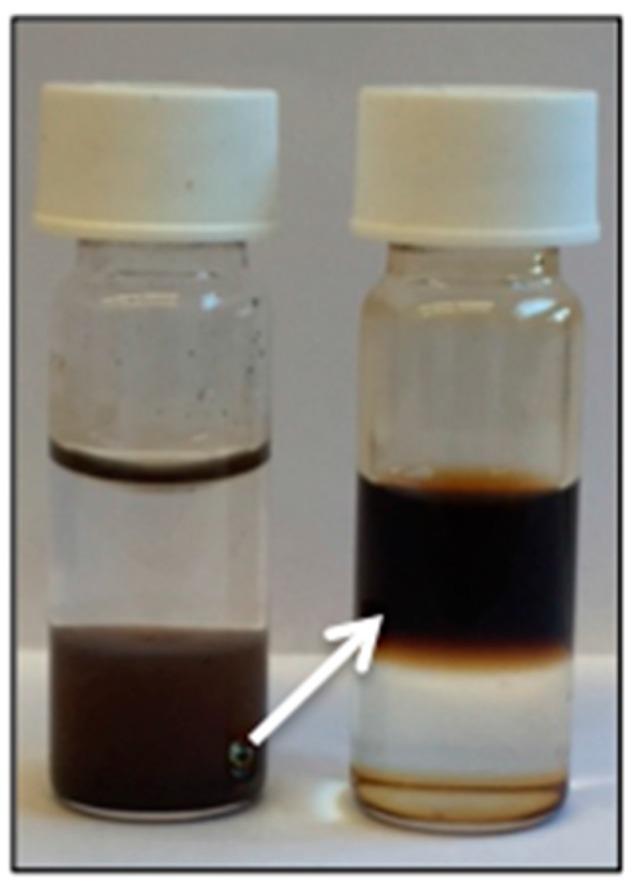 https://cdn.ncbi.nlm.nih.gov/pmc/blobs/8656/5456920/27a11429fd1c/materials-09-00554-g005.jpg