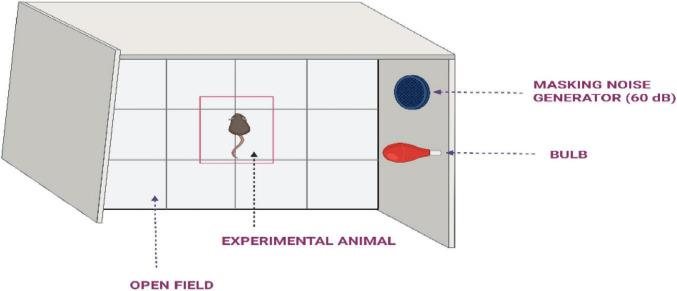 https://cdn.ncbi.nlm.nih.gov/pmc/blobs/8659/12364833/8ebb1d653d79/fnagi-17-1646551-g004.jpg