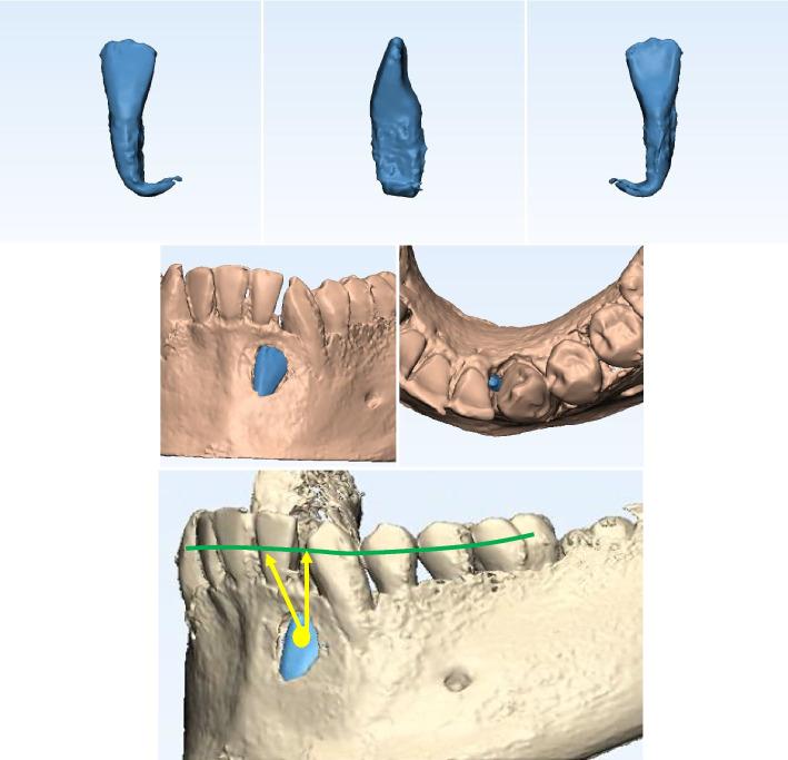 https://cdn.ncbi.nlm.nih.gov/pmc/blobs/865a/11479465/5c4a05bcb990/12903_2024_4902_Fig3_HTML.jpg