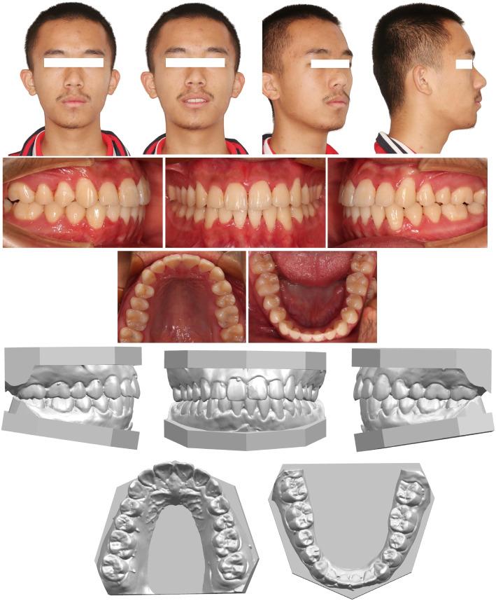 https://cdn.ncbi.nlm.nih.gov/pmc/blobs/865a/11479465/8ef09bbc766b/12903_2024_4902_Fig6_HTML.jpg